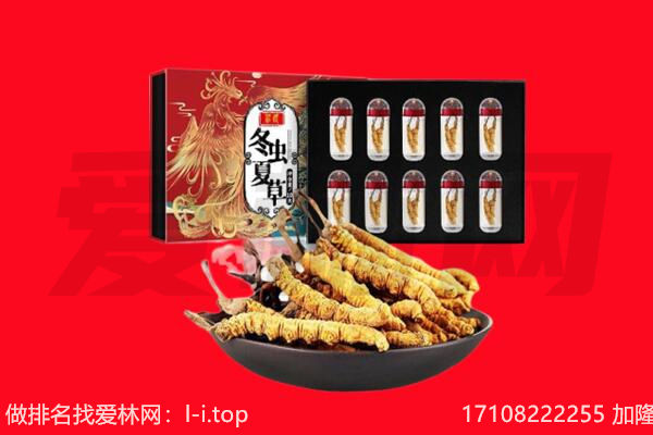 灵川县回收虫草.jpg